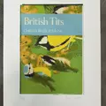 A4 British Tits