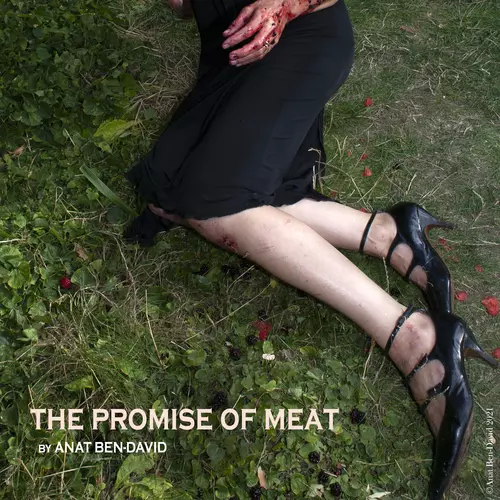 Anat Ben-David - The Promise Of Meat