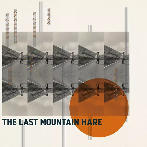 Toby Hay - The Last Mountain Hare