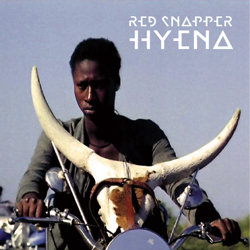 Red Snapper - Hyena