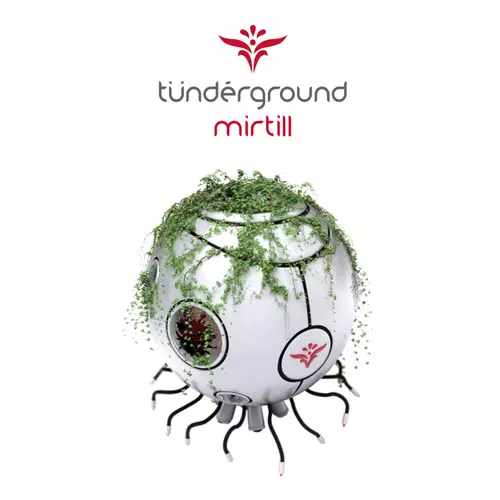 Tündérground - Mirtill