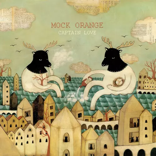 Mock Orange - Captain Love