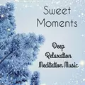 Sweet Moments - Meditation Sleep Deep Relaxation Music for Mindfulness Training Christmas Time Health and Wellbeing with Soft Santa Claus Instrumental Sounds