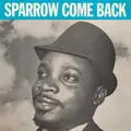 Sparrow Come Back