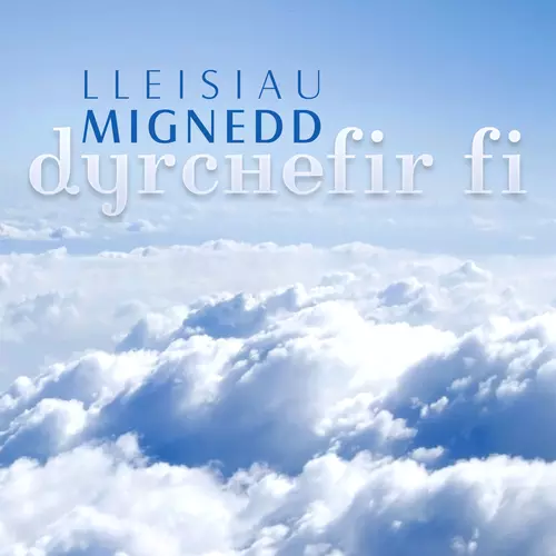 Dyrchefir Fi