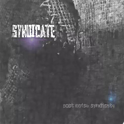 Post Noise Syndicate - Syndicate