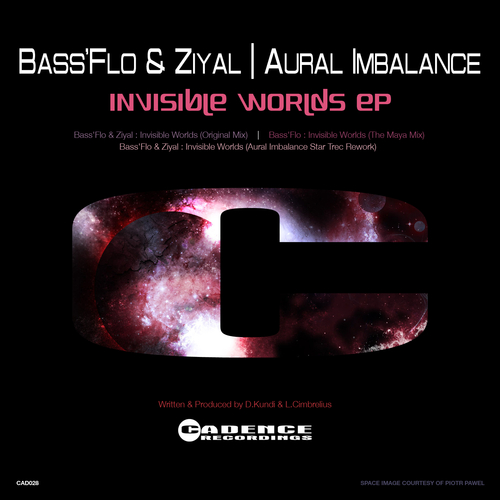 Bass'flo & Ziyal - Invisible Worlds