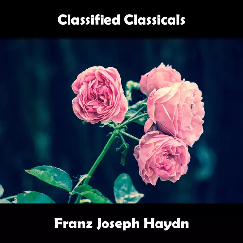 State Of Classics Orchestra - Classified Classicals Franz Joseph Haydn