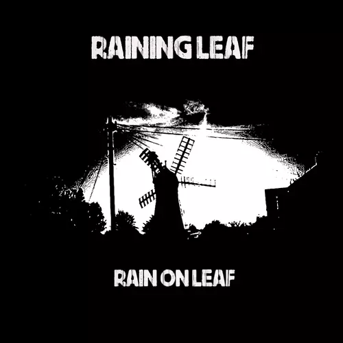 Rain on Leaf