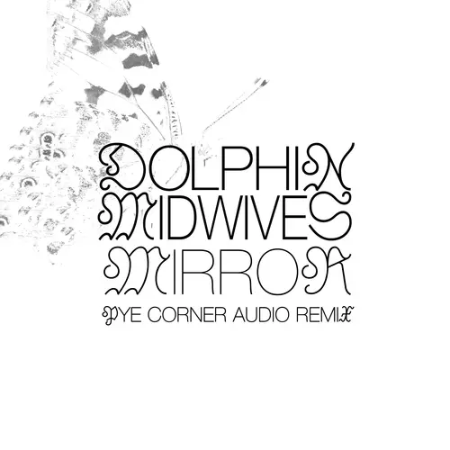 Dolphin Midwives - Mirror