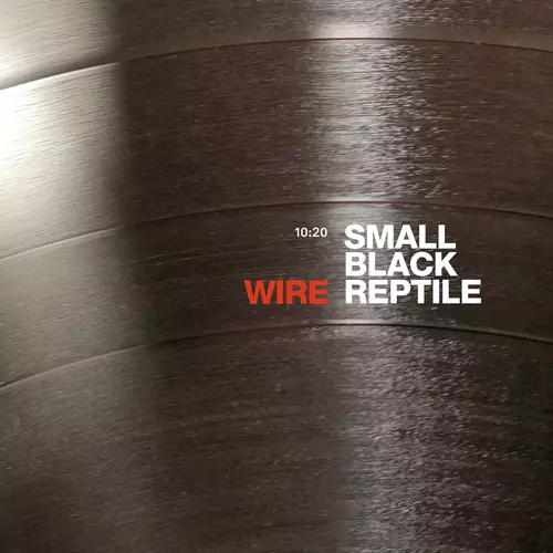 Wire - Small Black Reptile