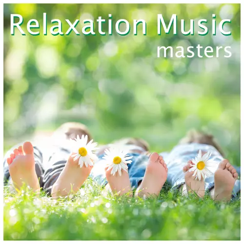 Soundscapes Relaxation Music Academy - Relaxation Music Masters: Soothing Music for Meditaton and Stress Relief