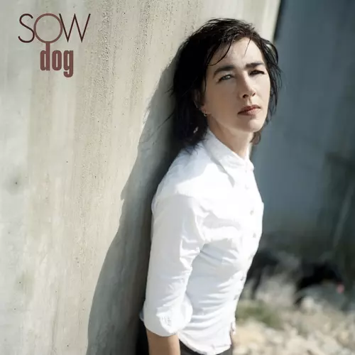 SOW - Dog