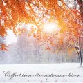 Coffret bien-être automne-hiver – Musique relaxante de détente, méditation, hamman, shiatsu, réflexologie plantaire et massage