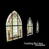 Trembling Blue Stars - The Last Holy Writer CD
