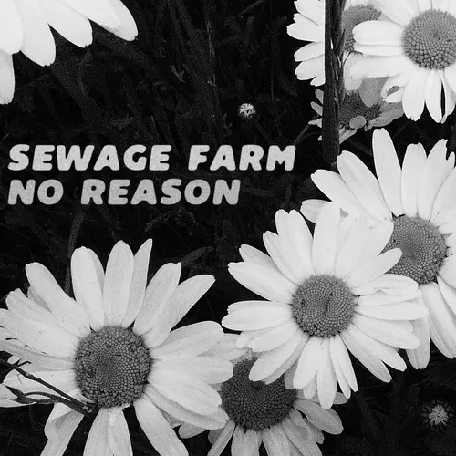 Sewage Farm - No Reason