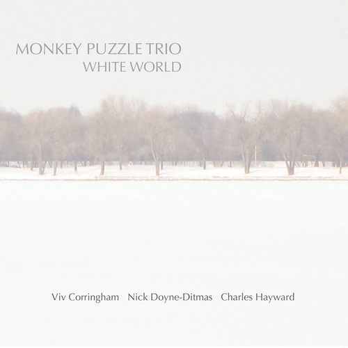 Monkey Puzzle Trio - White World