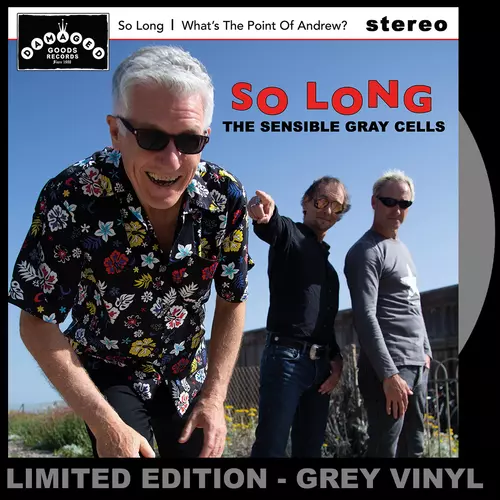 So Long/What's the Point of Andrew? GRAY VINYL 7"