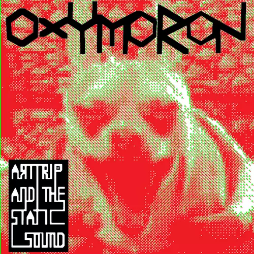 Art Trip and the Static Sound - Oxymoron