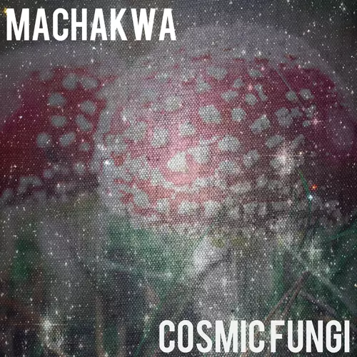 View full size cover Machakwa - Cosmic Fungi