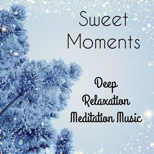 Meditation Spa & Deep Sleep & Classical Study Music - Sweet Moments - Meditation Sleep Deep Relaxation Music for Mindfulness Training Christmas Time Health and Wellbeing with Soft Santa Claus Instrumental Sounds