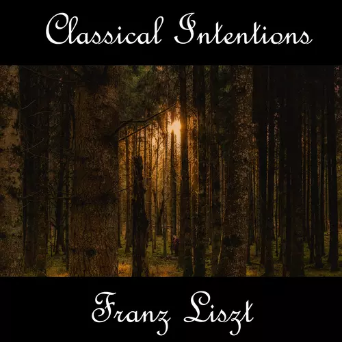 View full size cover Franz Liszt - Instrumental Intentions: Franz Liszt