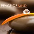 Peace of Mind: Massage Music, Liquid Relaxing Piano Songs, Spa Music, Inner Peace, Serenity and Calmness