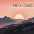 Relax Sounds for Meditation and Yoga - Sleep Zen Music & Baby Relaxation White Noise Melodies
