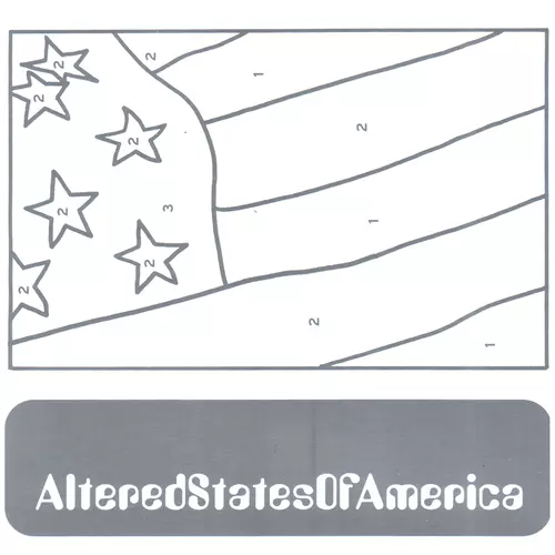 Various Artists - Altered States of America