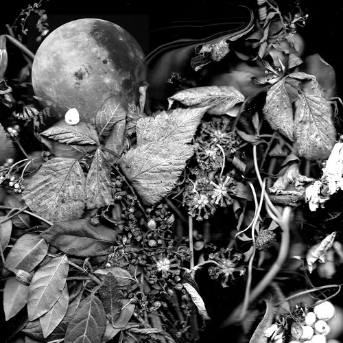 Harvey Lord - Quiet in the Small Corner