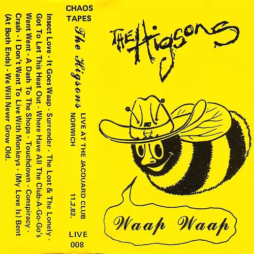 The Higsons - Live at the Jacquard/Live at the Lyceum