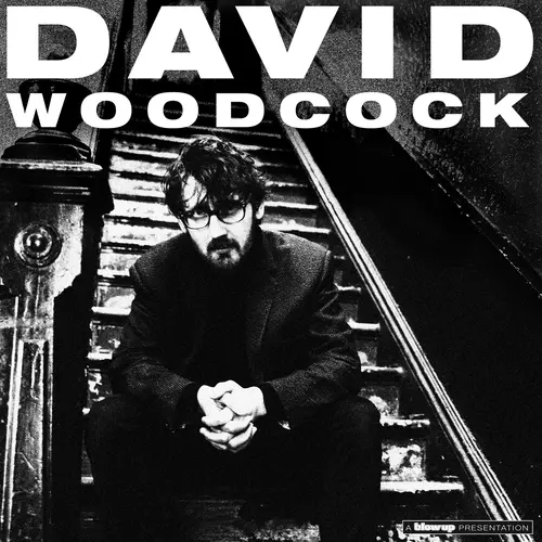 David Woodcock - The Adventures of You and Me