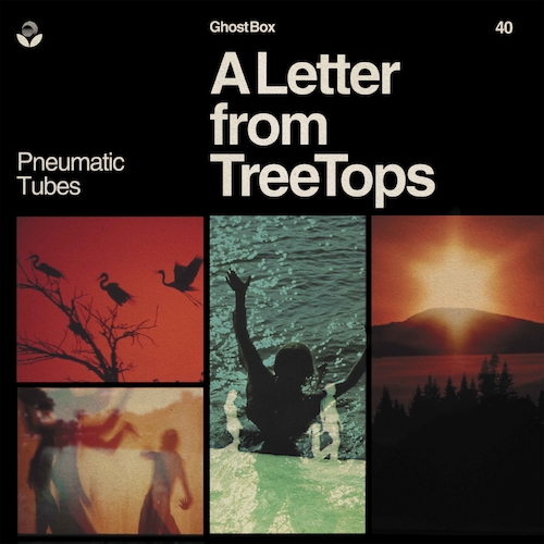 Pneumatic Tubes - A Letter from TreeTops
