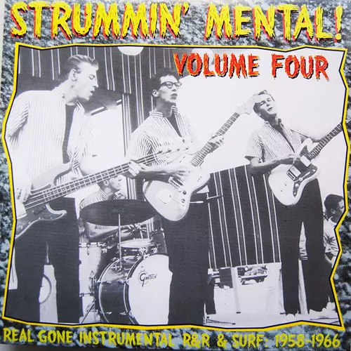 Various Artists - V/A STRUMMIN' MENTAL vol.4