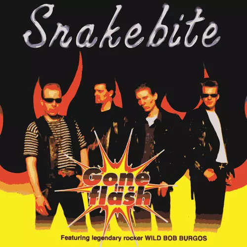 Snakebite - Gone in a Flash