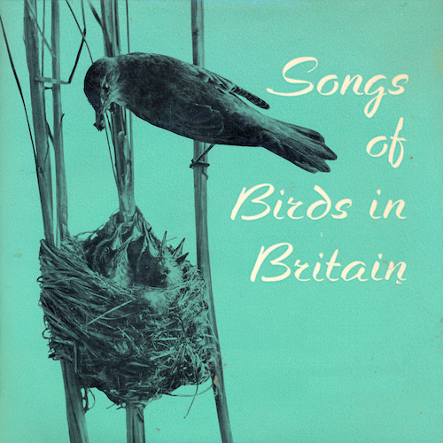 John Kirby - Songs of Birds in Britain