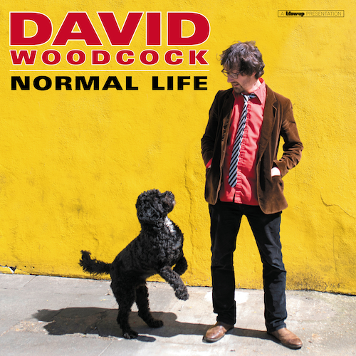 View full size cover David Woodcock - Normal Life
