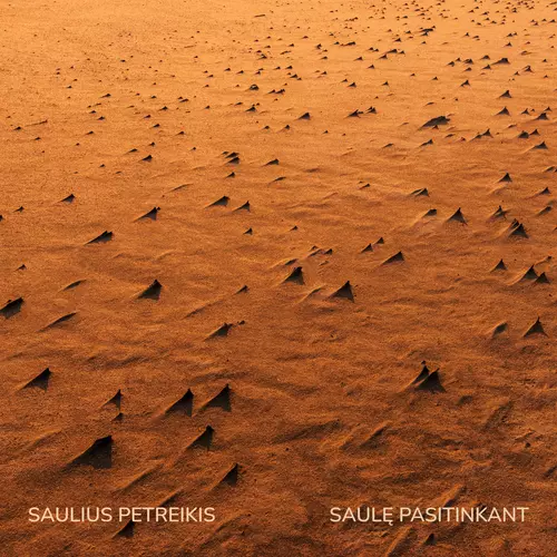 Saulę Pasitinkant