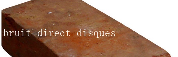 Bruit Direct Disques