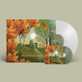 CD/LP Bundle. Andrew Wasylyk - Morning in Magnolia