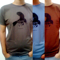 Dark Captain Light Captain Tees - Boys