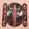 Super Rare Kate Bush Sweat!!! 